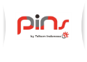 PINS